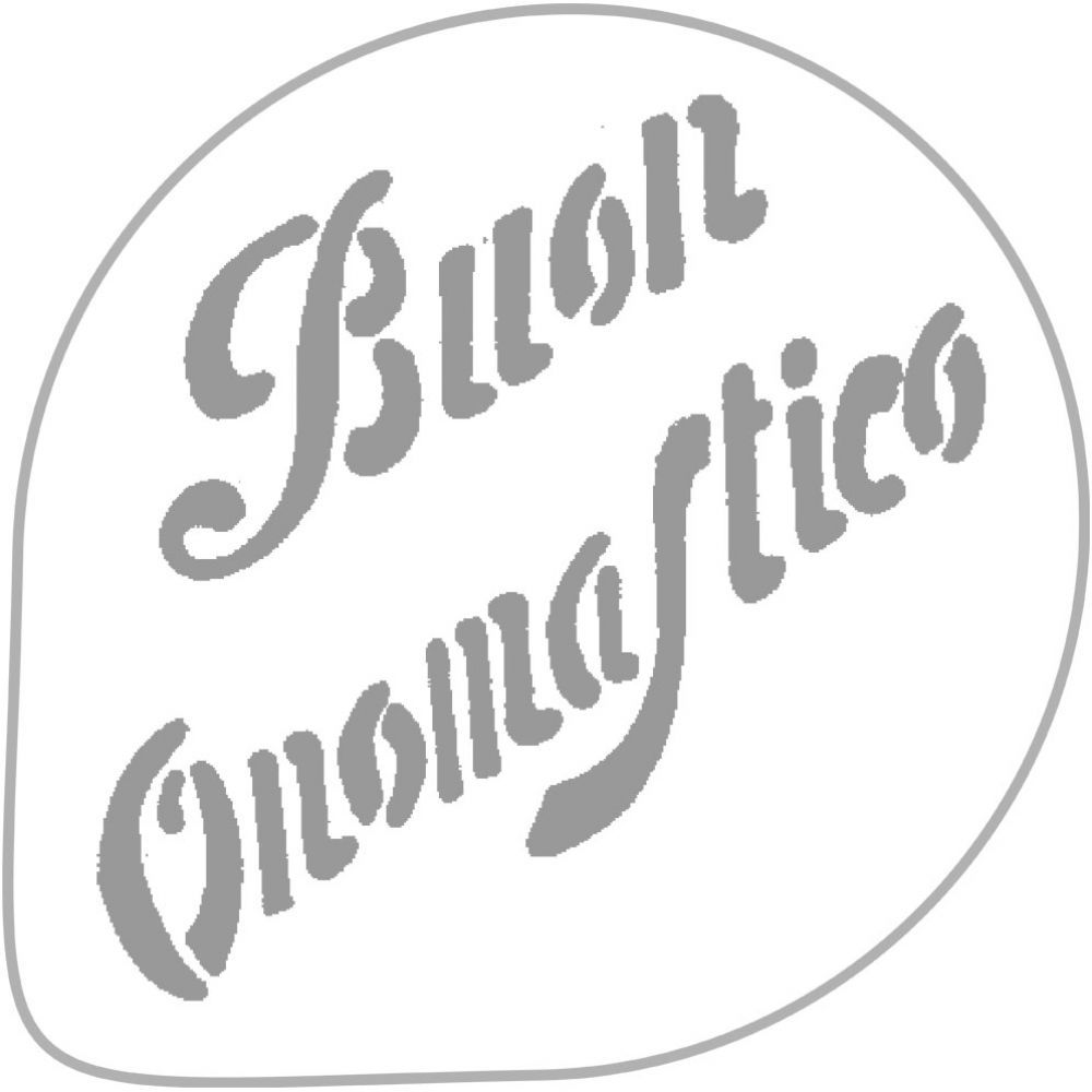 BUON ONOMASTICO stencil